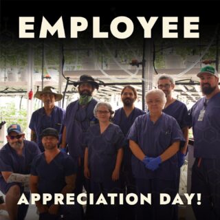 Mass Yield is nothing without our incredible in-house team, and we appreciate them every day, especially on National #EmployeeAppreciationDay ⁠
⁠
⁠
⁠
.⁠
.⁠
#cannabisculture #cannabiscommunity #cannabisindustry⁠
#cannabiscures #morecannabis #moderncannabis #newstrain #massachusettscannabis #massdispensary #masscannabiscommunity #masscannabis