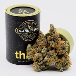 Peach Milano is a special one. Incredible buds with a strong, citrus scent and buzz to match. The orange is rounded out nicely with musky peach and some peppery undertones, and the Cookies n Cream lends a great creaminess to the smoke. Grab some of this strain ASAP and let us know what you like best about it!⁠
⁠
.⁠
.⁠
#cannabisculture #cannabiscommunity #cannabisindustry⁠
#cannabiscures #morecannabis #moderncannabis #newstrain #massachusettscannabis #massdispensary #masscannabiscommunity #masscannabis