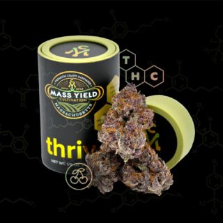 While it's technically a Hybrid strain, we think Trop Cherry fits our "Thrive" category as it leans Sativa for an uplifting, energizing experience matched by this flower's strong cherry and orange peel aromas. ⁠
⁠
⁠
.⁠
.⁠
#hightimes #cannabis #420 #marijuana #hemp #indica #thc #cannabisindustry #cbd #cannabisculture #cannabiscommunity #cannabiscures #morecannabis #moderncannabis #newstrain #massachusettscannabis #massdispensary #masscannabiscommunity #masscannabis