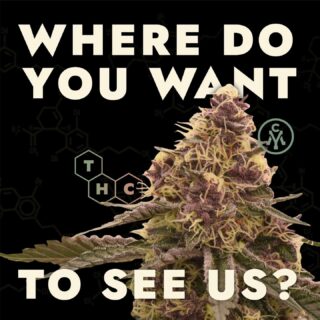 Where do you want to see Mass Yield? Tag your favorite dispensary below to let 'em know!⁠
⁠
.⁠
.⁠⁠
#hightimes #cannabisculture #cannabiscommunity #420 #marijuana #cannabisindustry⁠ #cannabiscures #morecannabis #moderncannabis #newstrain #massachusettscannabis #massdispensary #masscannabiscommunity #masscannabis
