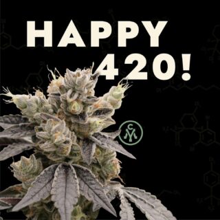 Today we celebrate online, tomorrow: in person! Happy 420, and please enjoy safely! We'll see you tomorrow for an awesome day of fun at @grassisgreenergathering. ⁠
⁠
Need some strain suggestions? This Commercial St. Kush is getting quite the reception. Check it out for yourself today and let us know if you think it stands up to the hype!⁠
⁠
.⁠
.⁠
#cannabisculture #cannabiscommunity #cannabisindustry⁠
#cannabiscures #morecannabis #moderncannabis #newstrain #massachusettscannabis #massdispensary #masscannabiscommunity #masscannabis