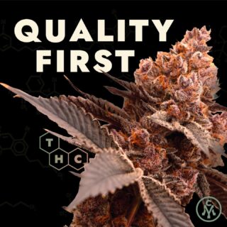 In everything we do, we put quality first: Selecting genetics and strains, sourcing eco-friendly packaging, growing methods, product selection, everything!⁠
⁠
⁠
.⁠
.⁠
#cannabisculture #cannabiscommunity #cannabisindustry⁠
#cannabiscures #morecannabis #moderncannabis #newstrain #massachusettscannabis #massdispensary #masscannabiscommunity #masscannabis