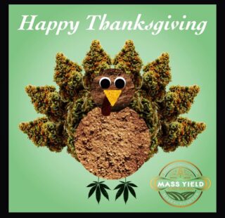 The entire team here at Mass Yield Cultivation would like to take a moment to wish everyone a very safe and Happy Thanksgiving!  Cheers!!

*Nothing sold on this post or this page. 21+

#massyieldcultivation #myc #masscannabis #berkshiregrown #westernmacannabis #artisinalcannabis #smile #doitright #lovewhatyoudo #dowhatyoulove #fluence_led  #beanstalkcfr  #power.si  #impellobio  #xtremegardening #netafim_usa #methodseven